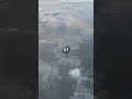 U-BOAT Hunters vs. Freezing Seas! #shorts
