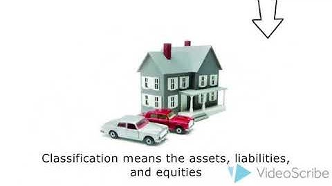 AUDIT ASSERTION OF CLASSIFICATION BALANCE SHEET