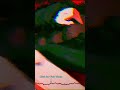 [Slowed and Reverb] Unholy War | Version 6 #short #shorts #youtubeshorts