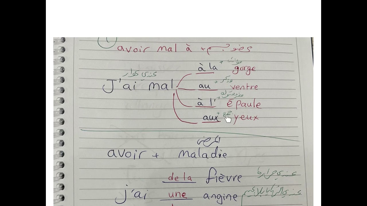 شرح قواعد اللغة الفرنسية للصف الثاني عشر ادبي 2024