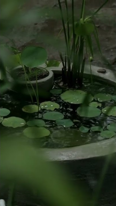 nyanyian kasmaran - ebiet g. ade