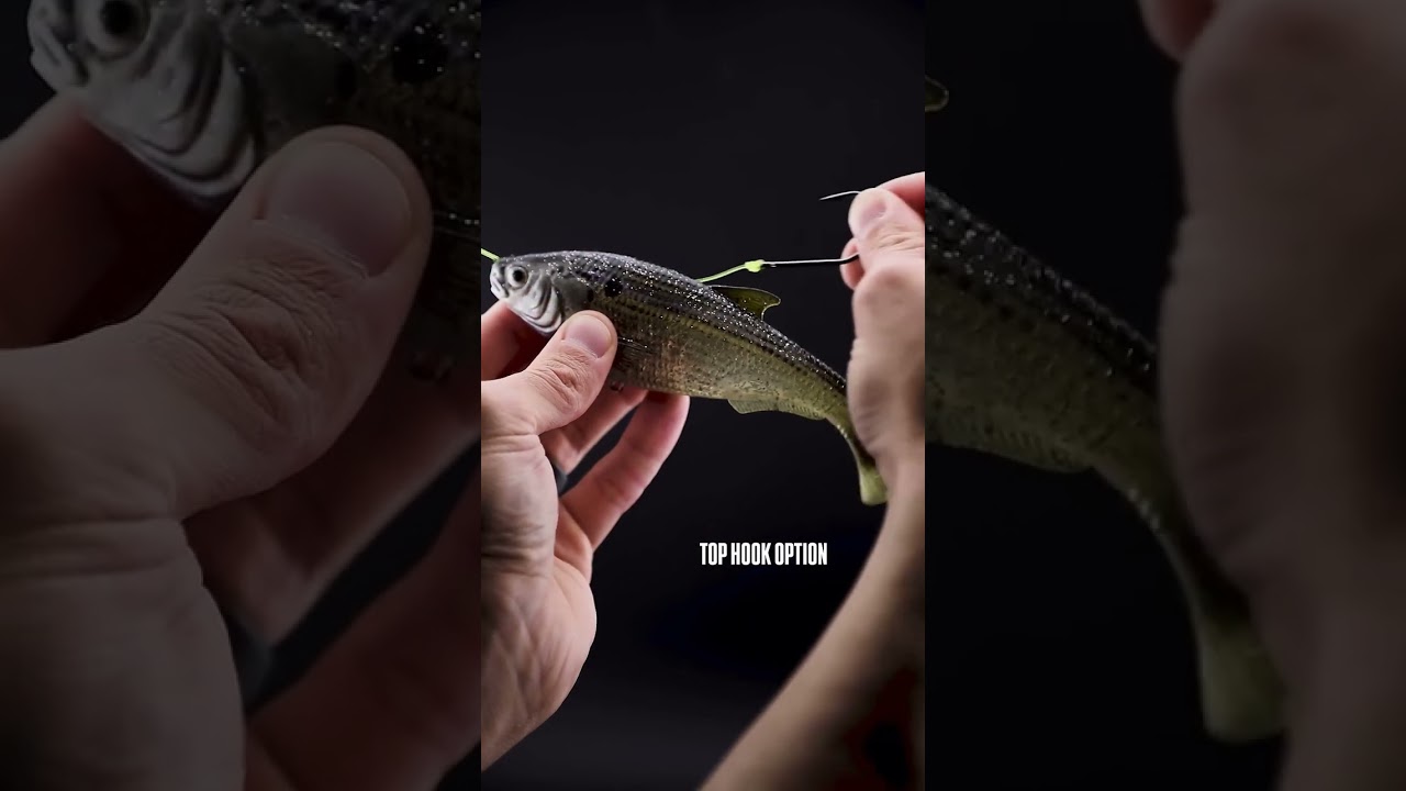 SHADTRON LT FEATURES