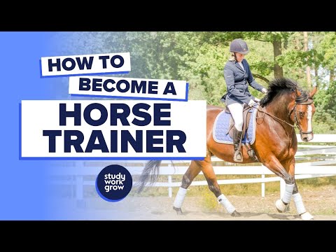 What Is A Horse Trainers Salary