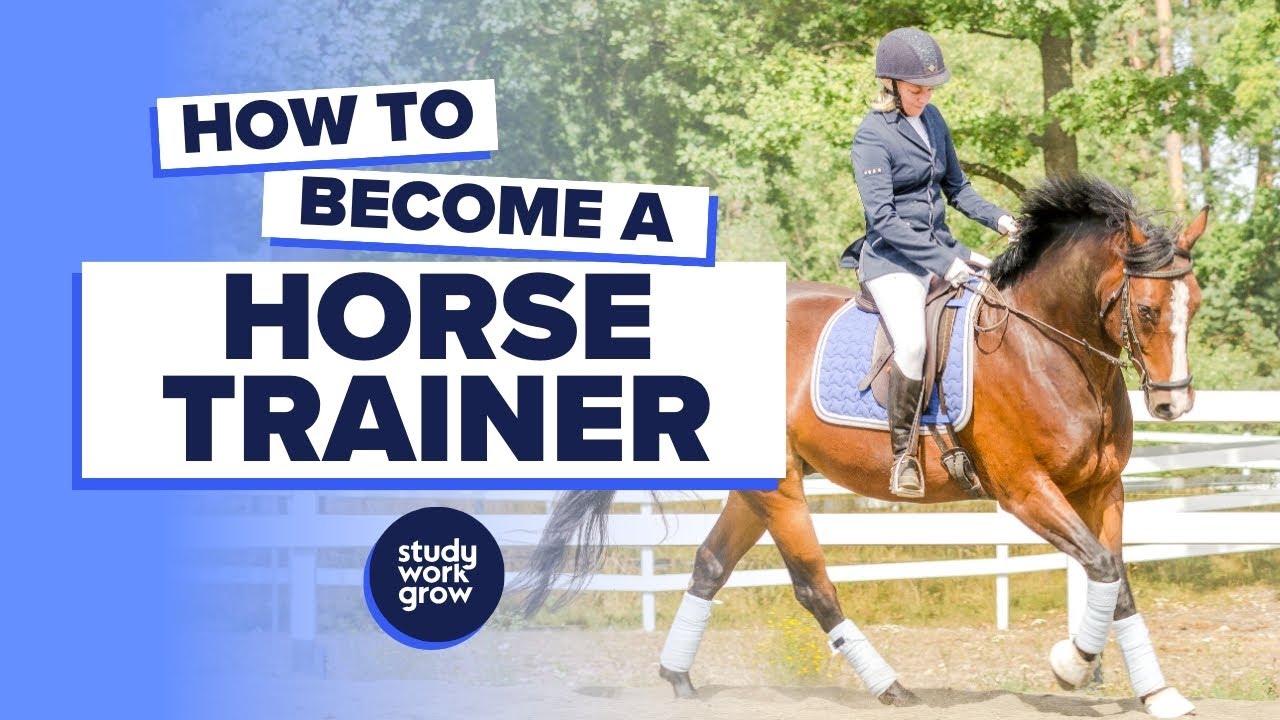 How to Get Started As a Horse Trainer: Expert Tips for Beginners