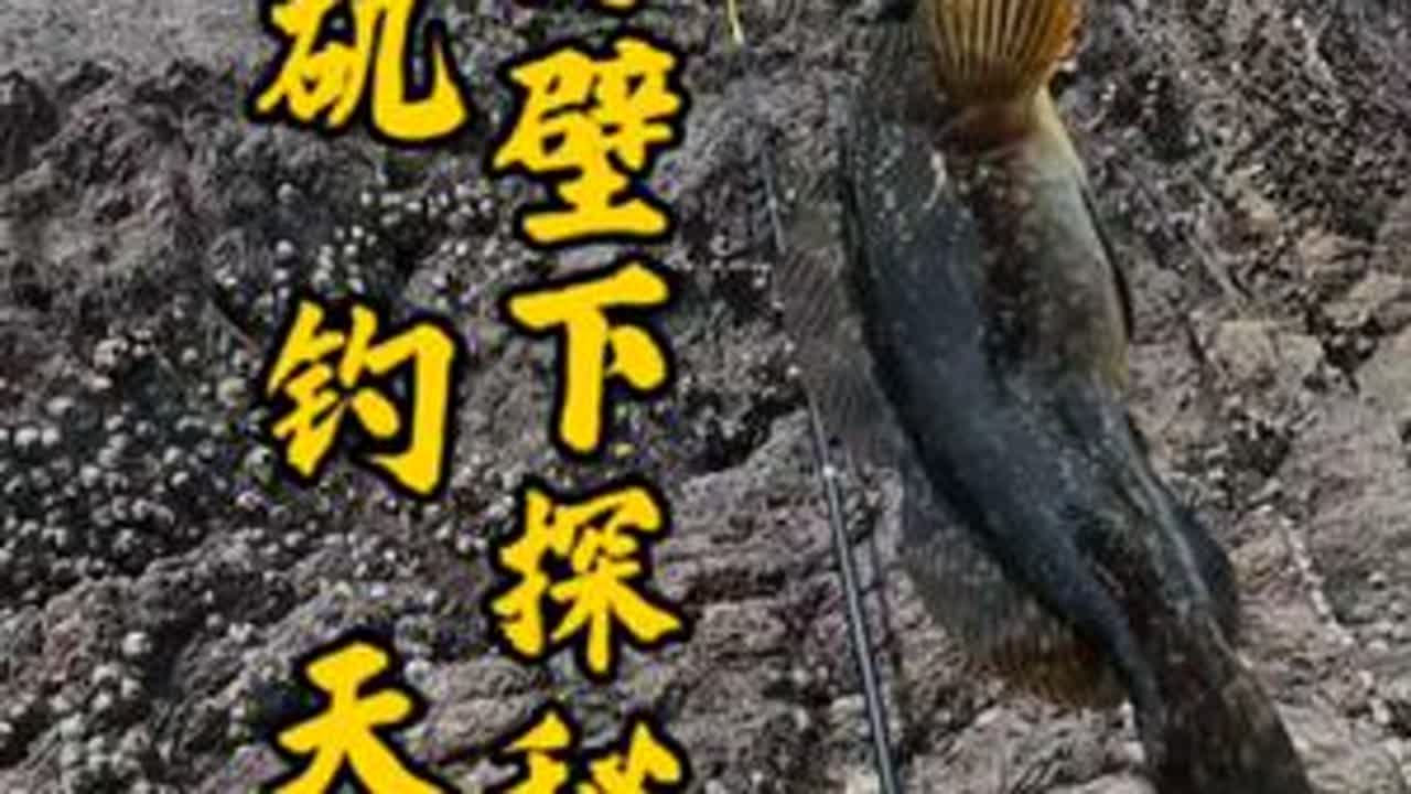 孤岛壁下探秘（6）久违了，海钓天堂，我的礁石我的鱼