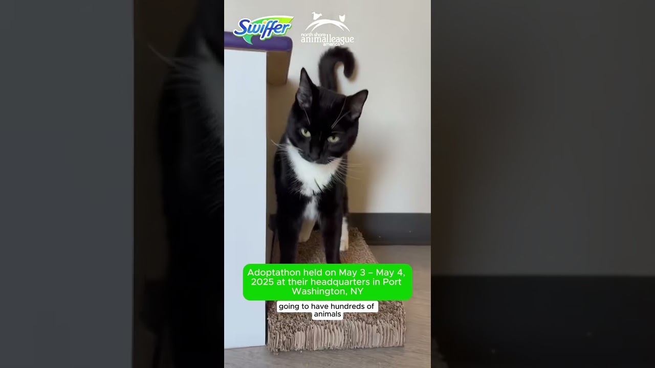 Come with us to the North Shore Animal League America campus in New York!