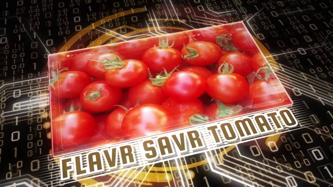 Top 10 Common Foods You Didn’t Know Were Genetically Modified — TopTenzNet