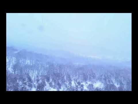 Snow Falling Outside My Window (Lyrics)