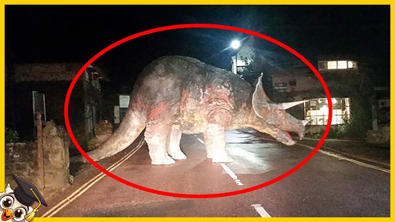 10 Wymarłych zwierząt, które ludzie uważają za wciąż żywe