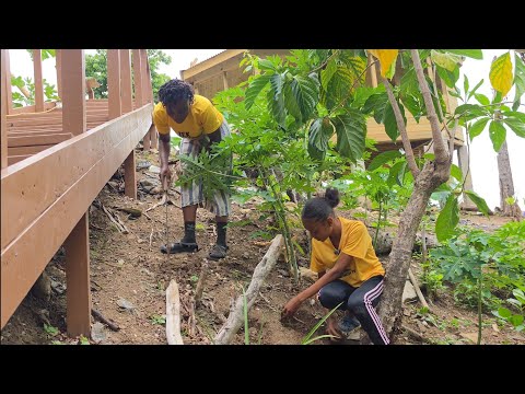 Peppers, tomatoe, thyme etc.. Daniella & Stargirl planting vegetables at hikers paradise 