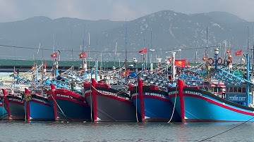 PHẦN 167.Cảng Cà Ná Ghe Cát Tỉnh Chạy Vào Núp Bão 15 Quá Đông 