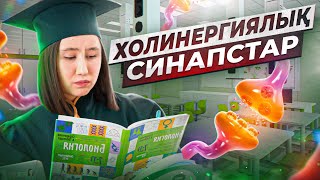 Холинергиялық синапстар | ҰБТ Биология 2024