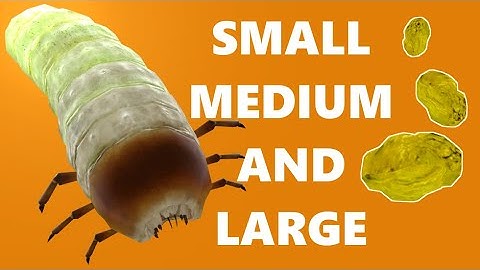 How Half-Life 2 Reacts to Your Health and Ammo Counts