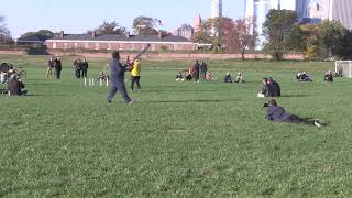 Yardwork by Alec Hall and excerpt from Out/With/In