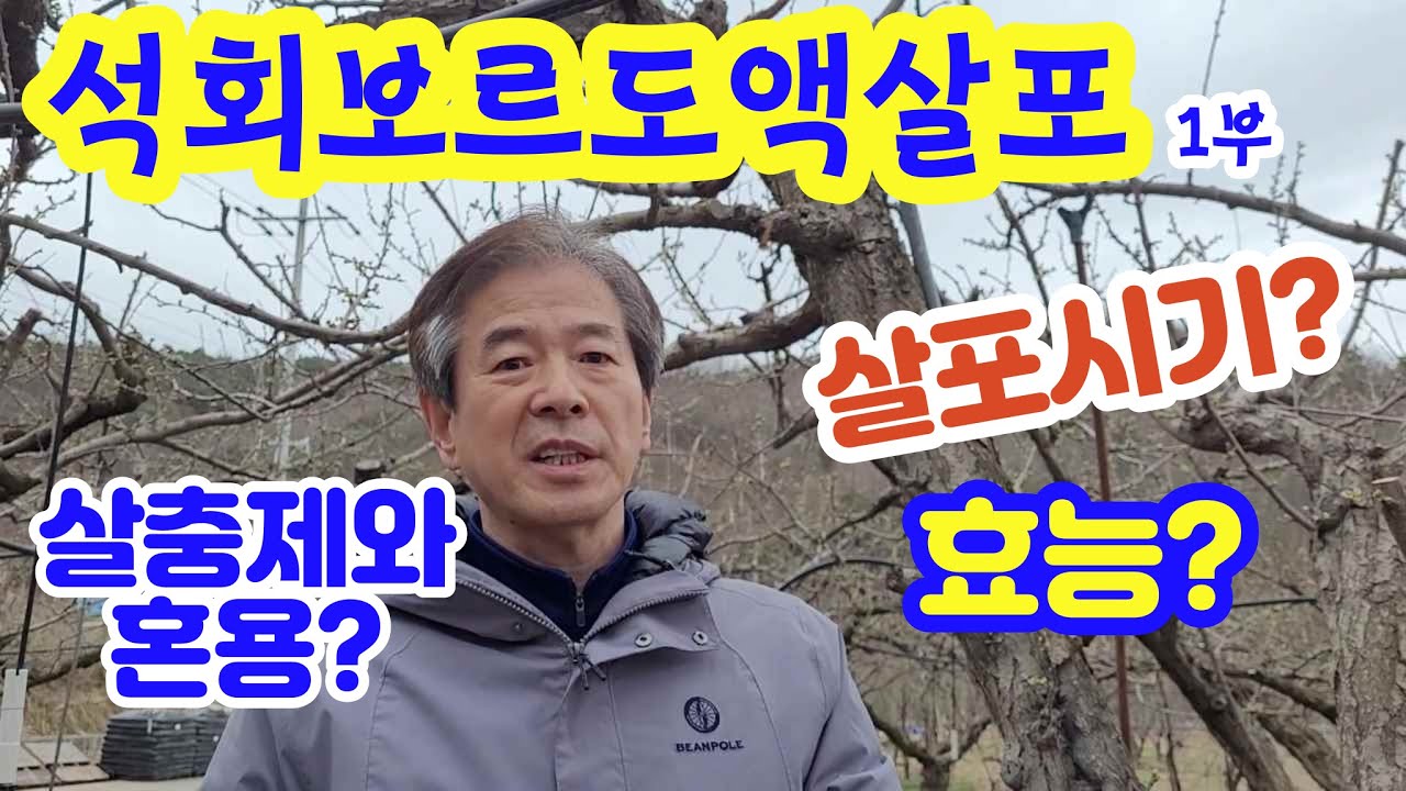 석회보르도액.보르도액.석회보르도액 효능. 석회보르도액살포시기.석회보르도액 살포방법.석회보르도액 주의사항