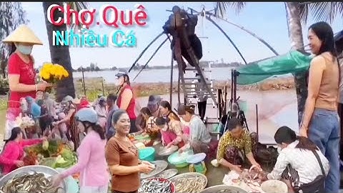    Mùa Nước Rút Mạnh Chợ Số 10 Cá Chạch Cá Linh Khủng Khiếp Nhảy Tung Tăng Không Cảng Được 