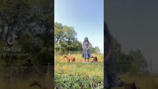 Semi̇rami̇nta Ti̇ktok Vi̇deosu