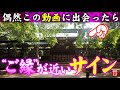 【⚠️強制えんむすび】※見たら1分以内に再生して下さい⚠️もし逃したら二度とありません※見たあと良いことが起こります。本当に不思議です🌈✨⛩️山口県花岡八幡宮【遠隔参拝】【リモート参拝】