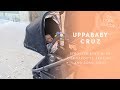 UPPAbaby Cruz Stroller Review