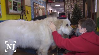 Therapy dog helps kids read at Sussex County school