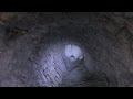 2017- Rabbit making a deep burrow,Fl,April