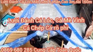 lưới đánh cá - lưới đánh cá chép - lưới đánh cá mè vinh - lưới đánh cá rô phi - lưới đánh cá rô đồng