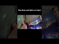 She KICKS and Spits on Cops