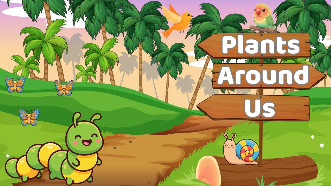 Plants Around Us | EVS for Kids | Learn About Plants for Kids | Plants Around Us for Preschool