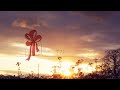 【88MV】ギフト / Eighty eight (official video) #いいしょう #tama3