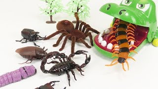 Giant Crocodile Eat Toy Cockroach Centipede Beetle Spider insect - BooBooToys