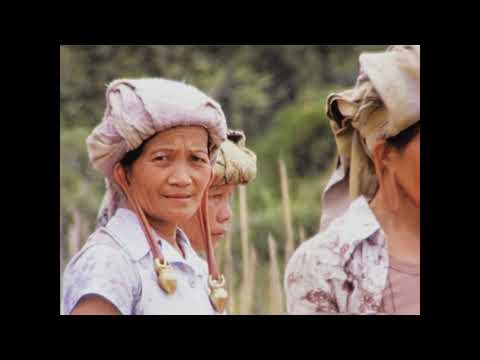 Video: Sarawak: Trekking U Kelabit Highlands - Mreža Matadora