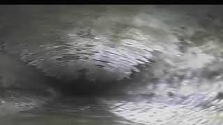 20190916 Paine clean out to under the home