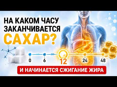 В какой момент организм перестаёт сжигать САХАР  и переходит на ЖИР?