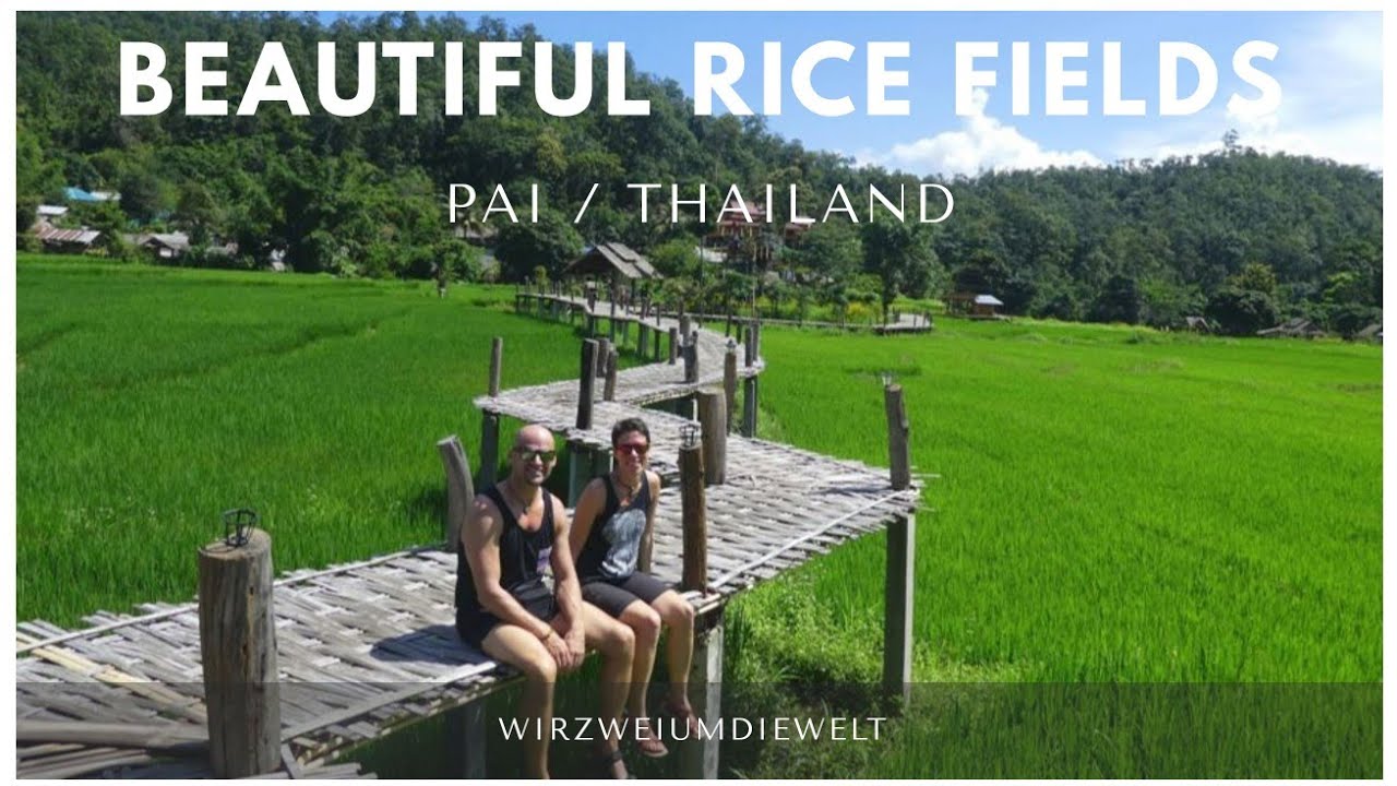 WELTREISE-VLOG#015 Nordthailand - PAI Ricefields & Bamboo Bridge