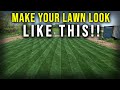 Fix your damaged lawn with overseeding