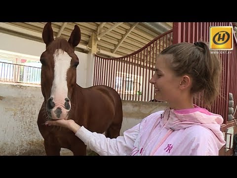 Конный спорт или зачем любить лошадок?