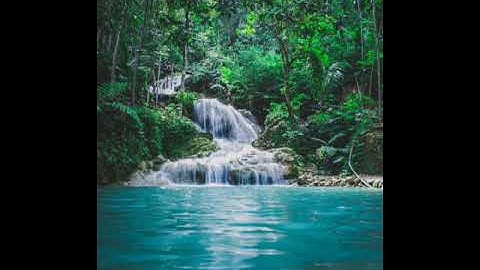 محمد اللحيدان - سورة يونس من آية 44 إلى 58