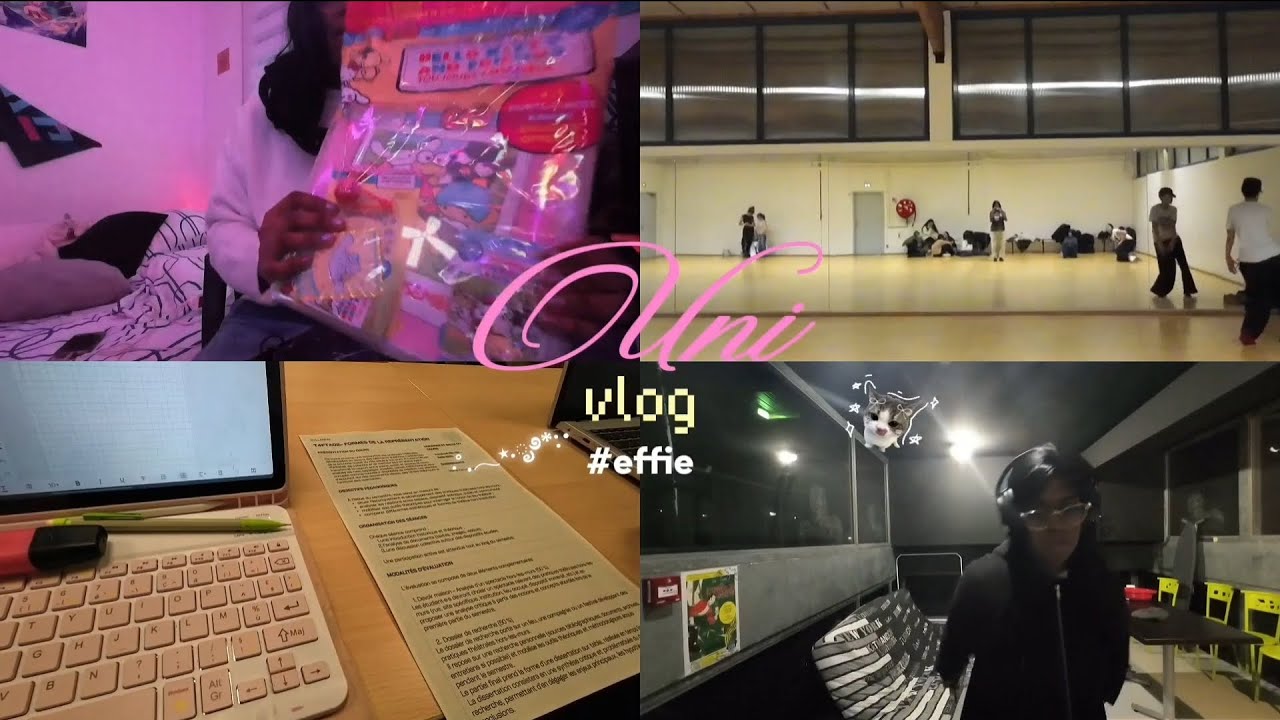 UNI VLOG : Sanrio, danse et théâtre 