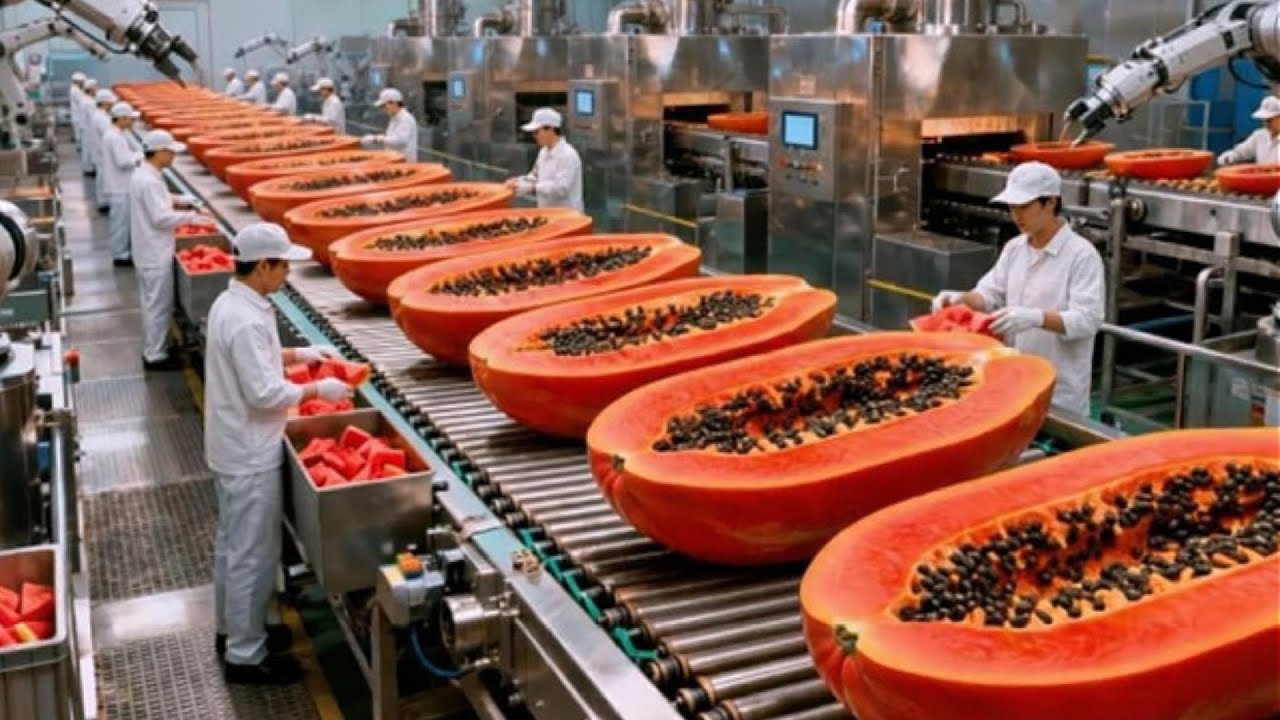 Inside a Modern Papaya Factory: From Farm to Dessert (The Whole Process