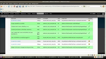 Selenium testing in Drupal. Run on headless Debian