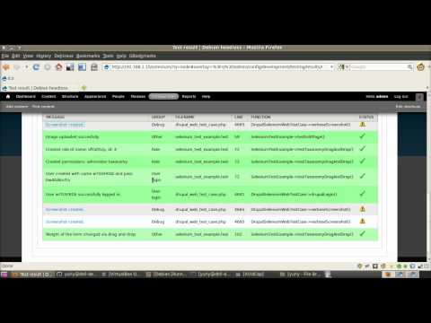 Selenium testing in Drupal. Run on headless Debian