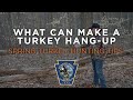 Spring Turkey Hunting Tips- What can make a turkey hang-up.