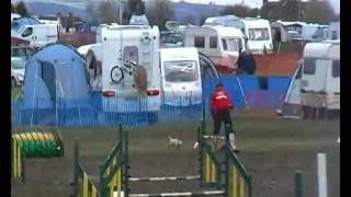 uka easter steeple chase begineers rico4th april