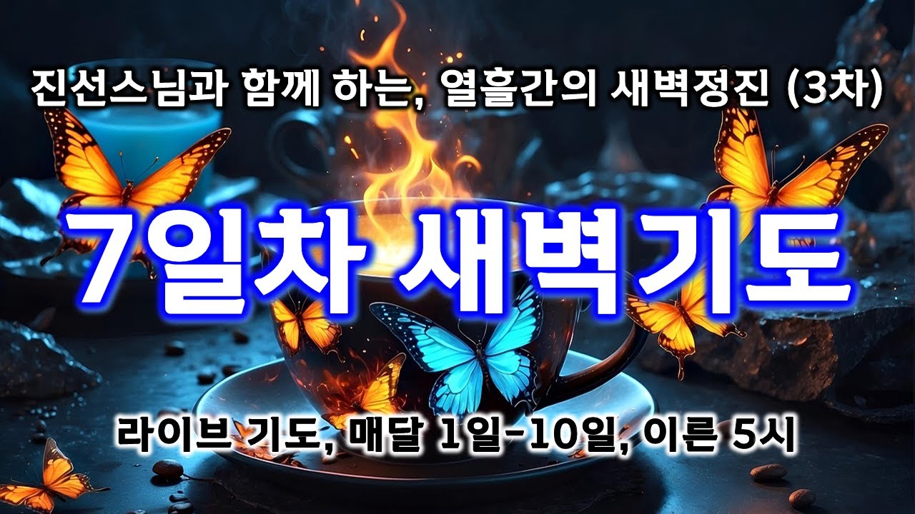 진선스님의 행복도량  (남원 덕음암) 라이브  2월을 잘 보내고 싶다면  열흘간의 새벽정진으로~