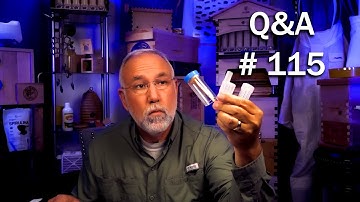 Beekeeping Questions and Answers episode 115, make your own replacement queens and more!