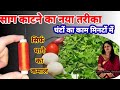 साग काटने का नया तरीका देखकर आप भी चौंक जाएंगे घंटों का काम होगा मिनटों मैं|साग कैसे काटे