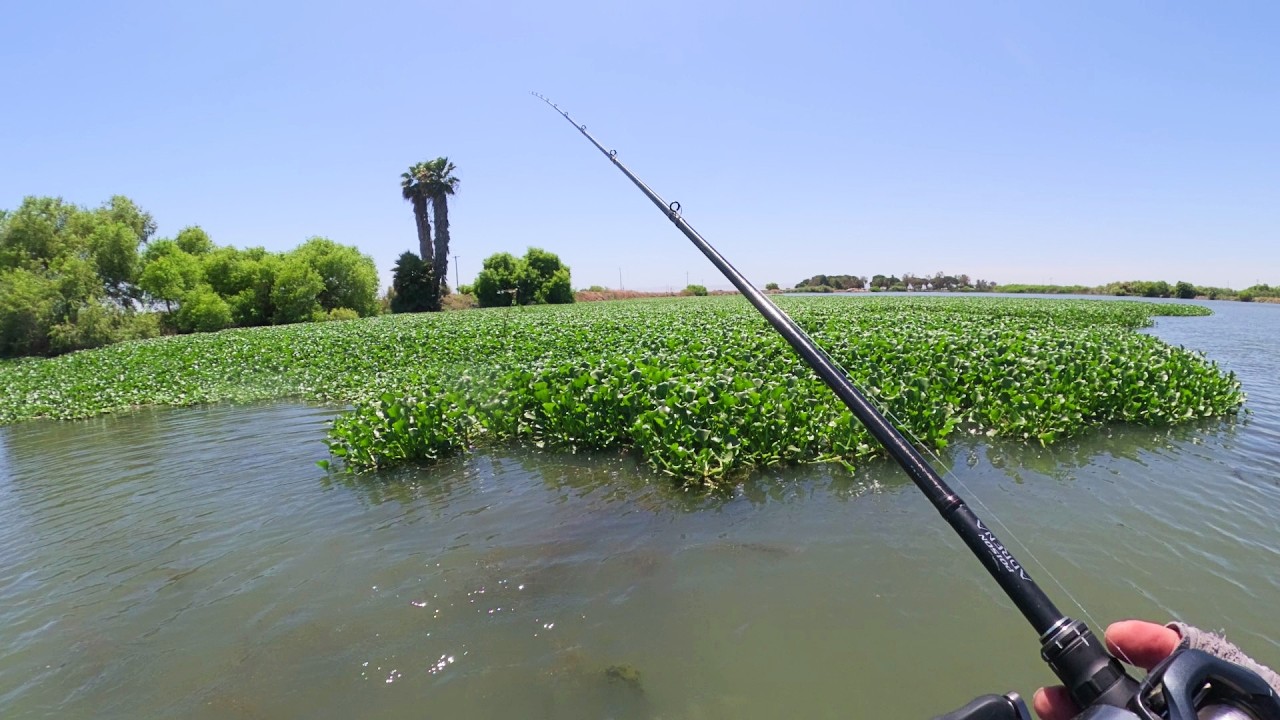 Floating on the River in Search of Big Bass