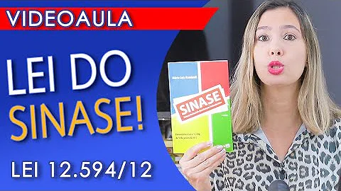Como Elaborar um Plano de Atendimento Socioeducativo o que deve conter?