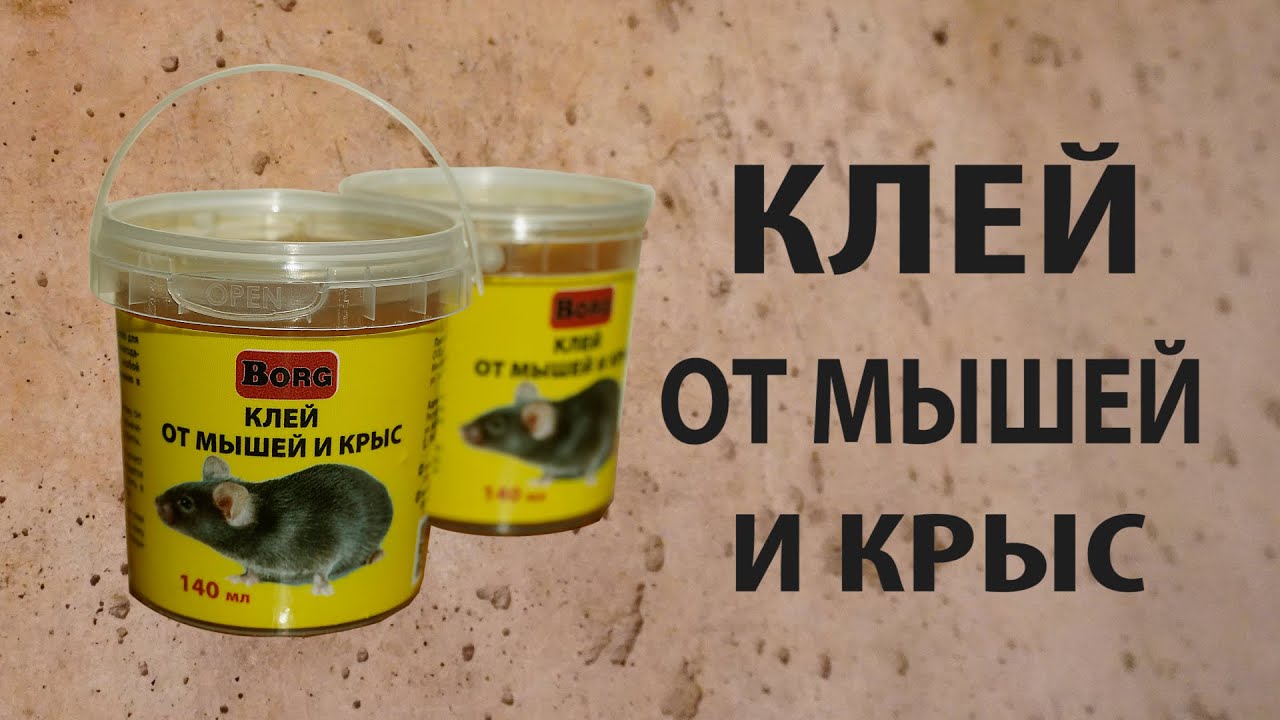 Клей для мышей купить