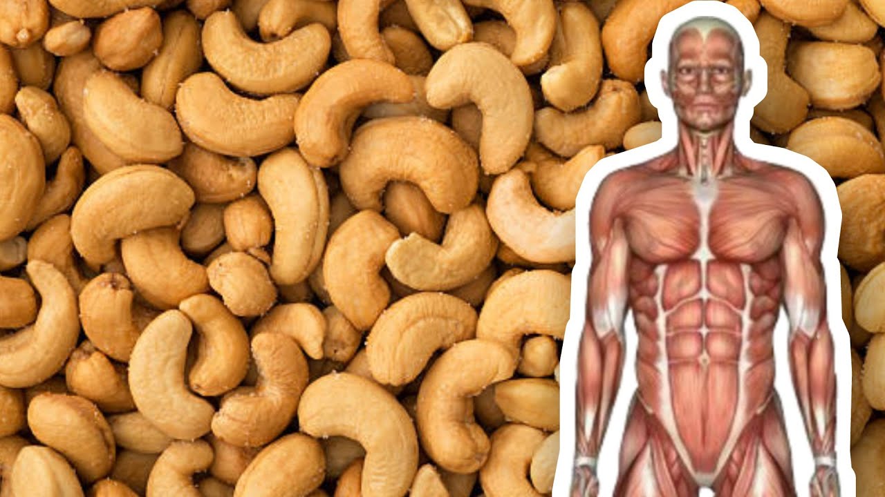 What Happens When You Eat Cashews Every Day YouTube